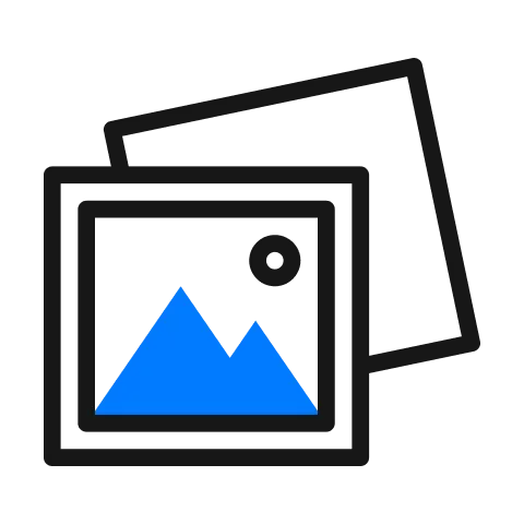 Native Multimodal Input
