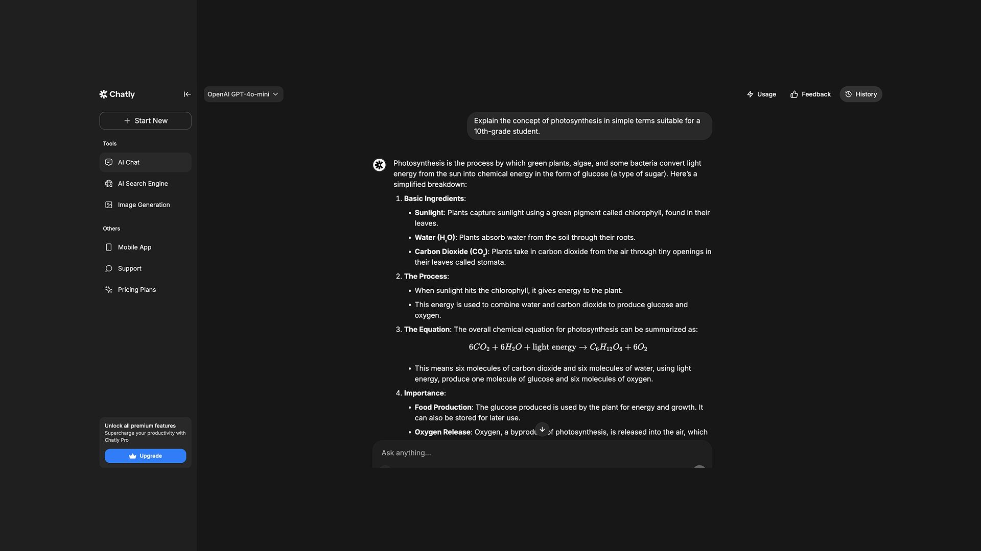 Chatly's Response to Example Prompt