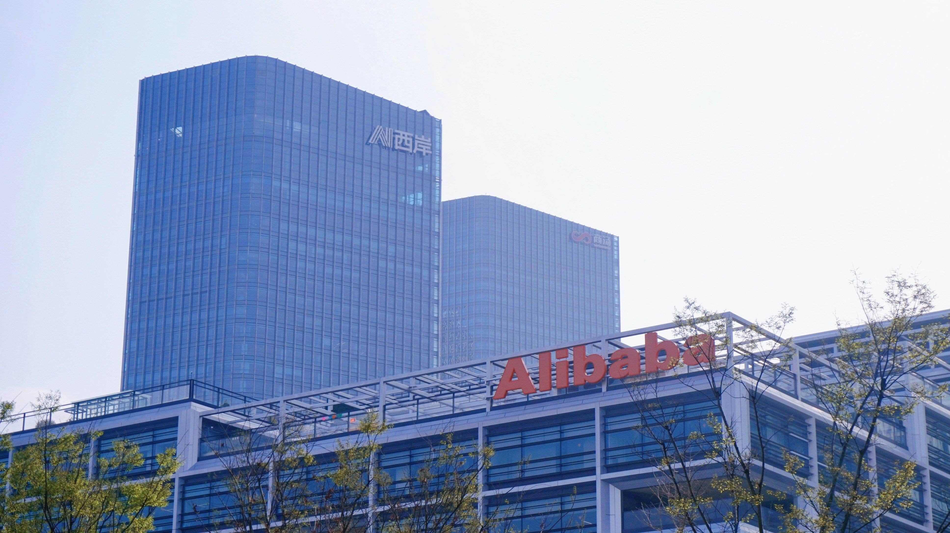 Alibaba Shares Rocket as AI and Cloud Drive Market Confidence