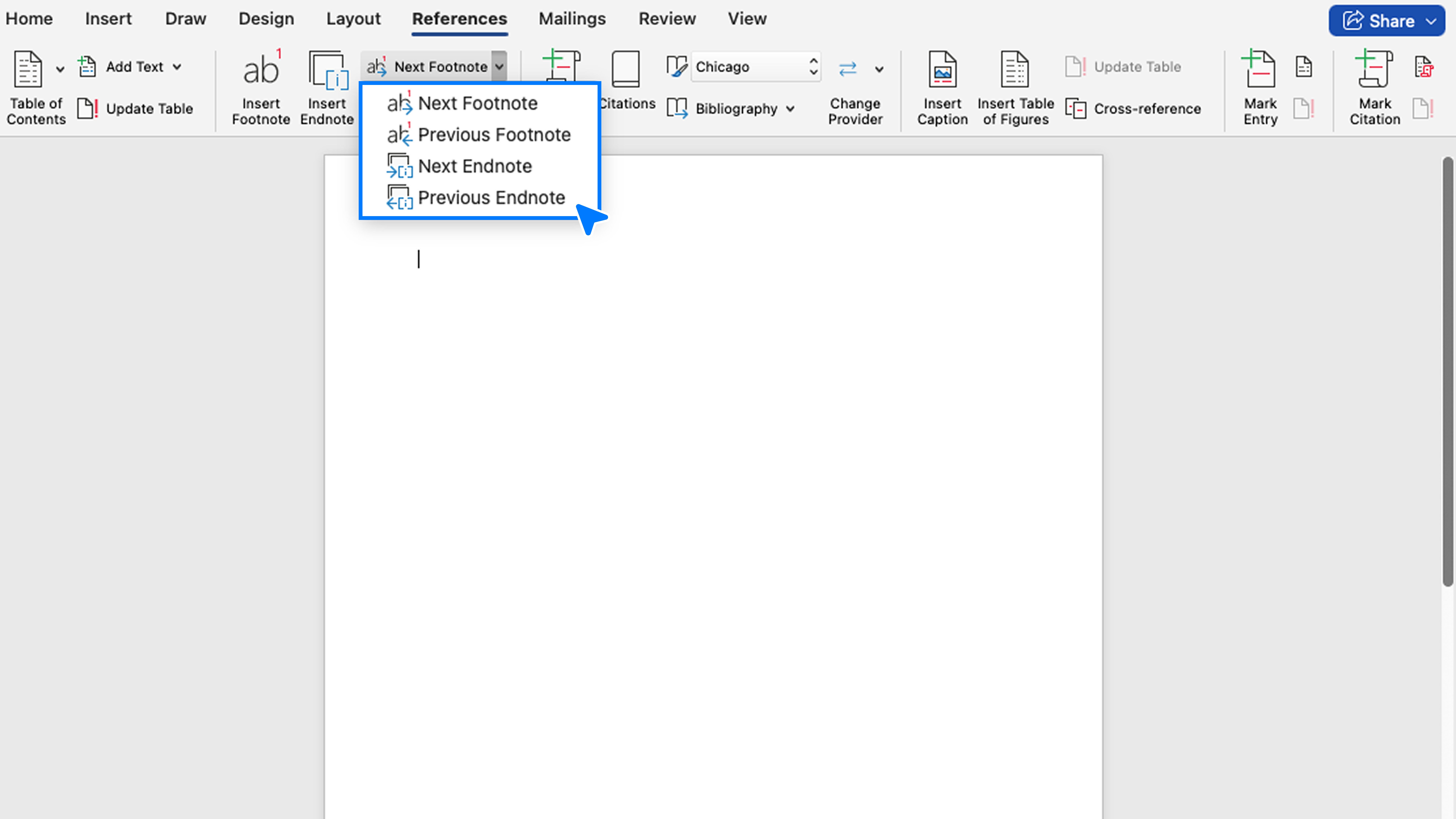 Switching Between Footnote and Endnote Views